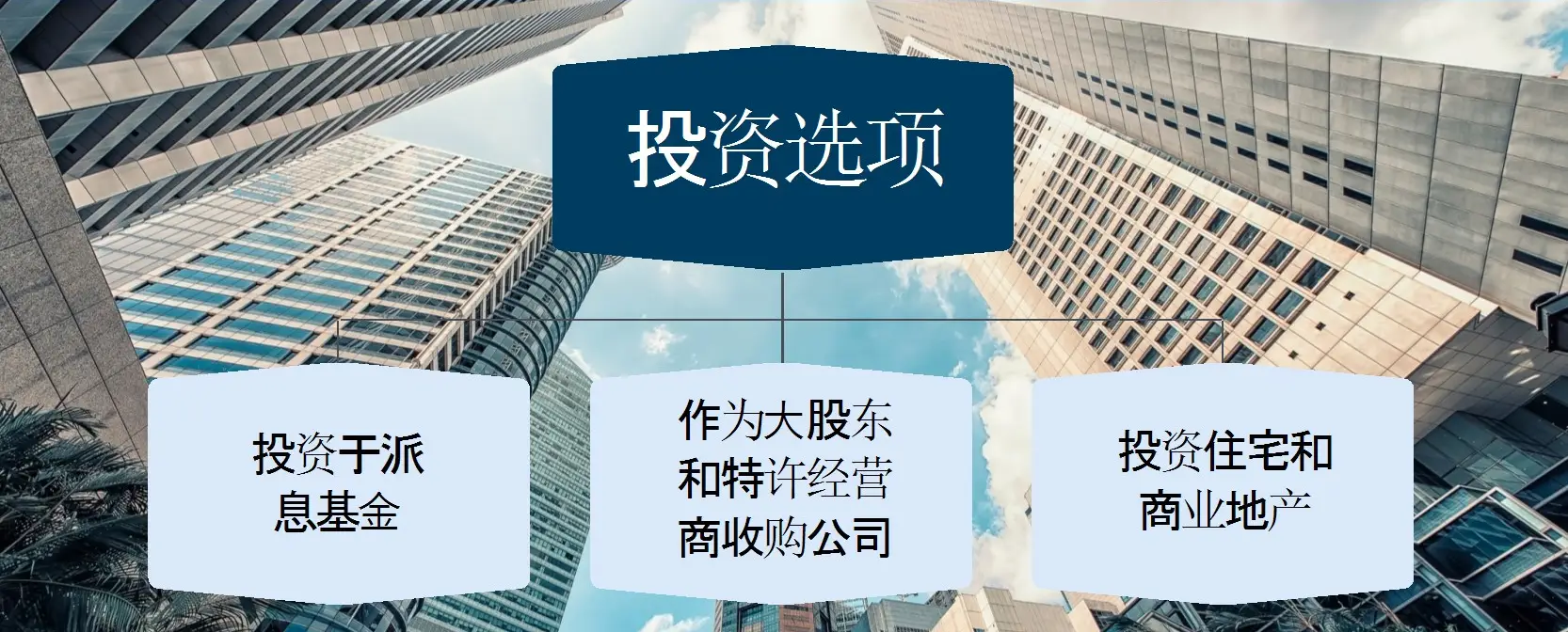 PIC投资选项